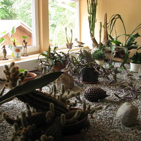Asmonienes Sveciu Namai "Senoji Mokyklele" Hotel Smalininkai Kültér fotó